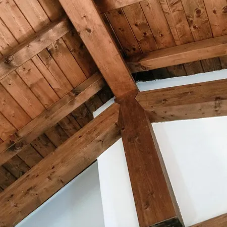 Nest - By Myhomeincomo