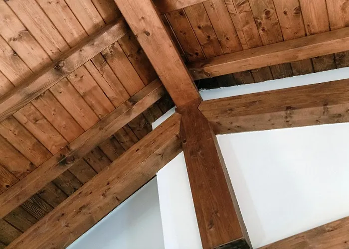 Nest - By Myhomeincomo